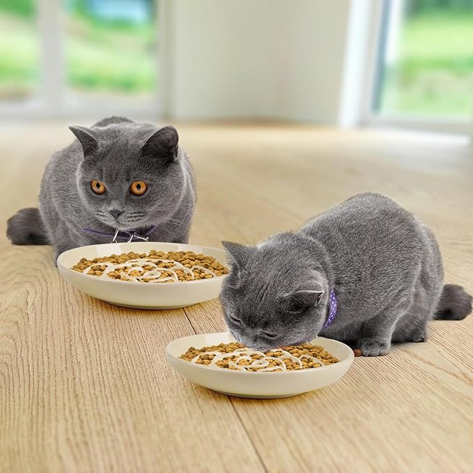 Slow Feeder Cat Bowl Set of 2, Ceramic Slow Feeding Cats Bowl Whisker Friendly, Anti Vomiting Cat Feeder for Dry and Wet Food,Fun Maze Interactive Bloat Stop Puzzle Bowls for Healthy Eating Diet