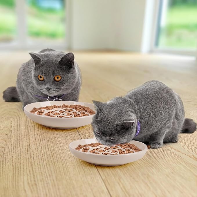 Slow Feeder Cat Bowl Set of 2, Ceramic Slow Feeding Cats Bowl Whisker Friendly, Anti Vomiting Cat Feeder for Dry and Wet Food,Fun Maze Interactive Bloat Stop Puzzle Bowls for Healthy Eating Diet