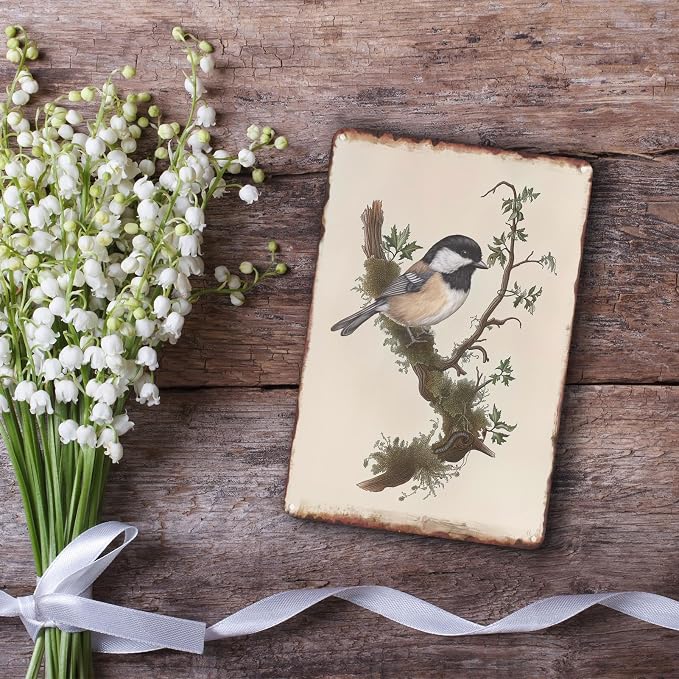 Sanwarm Metal Sign 8X12 Inch, Chickadee Bird Chickadee Retro Wildlife Vintage Tin Sign Wall Art Decor for Home, Living Room, Kitchen, Garden, Bedroom, Office, Hotel, Cafe And Pub Decoration - Image 6