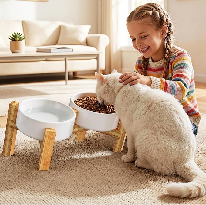 Bamboo Elevated Cat Bowls, 2 Ceramic Raised Cat Food and Water Bowls for Cats and Puppy, 15 Tilted Stand Anti Vomitting, Whisker Fatigue, Dishwasher Safe