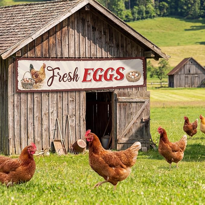 Tegeme Farm Fresh Eggs Sign, 24 x 120 inches/ 2 x 10 ft Rustic Fresh Eggs Banner Sign with 10 Grommets for Indoor Outdoor Chicken Coop Yard Business Supplies Farmers Market Decor