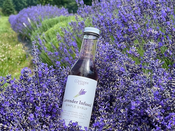Lavender Lane Lavender Vanilla Simple Syrup, 9 oz - USA Farm Exraction, For Tea, Coffee, Cocktails, Mocktails, Cooking - Image 8