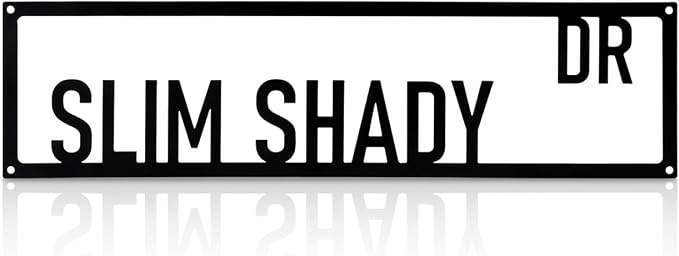 Metal Wall Art Decor Slim Shady Dr Metal Signs Street Sign with Letter for Bar Home Man Cave Cafe 16 x 4 Inches by Unknown