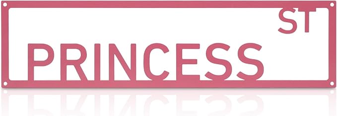 Metal Wall Art Decor Princess St Metal Signs Street Sign with Letter Gift for Women Pink Room 16 x 4 Inches by Unknown