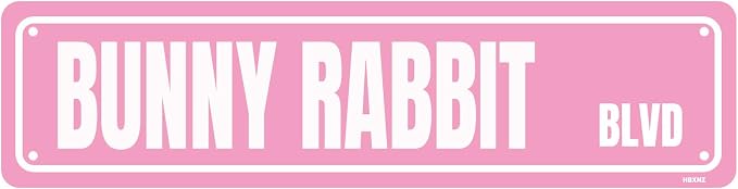 Bunny Rabbit Sign Metal Signs Street Road Sign Funny Cafes Bar Pub Beer Club Wall Home Decor 16X4 Inches by HBXNZ