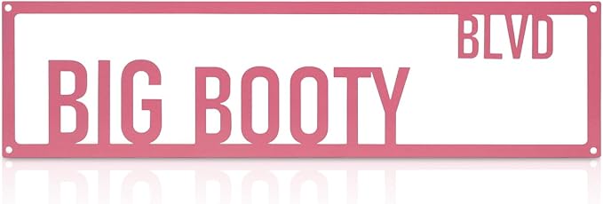 Metal Wall Art Decor Big Booty Blvd Metal Signs Street Sign with Letter Gift for Women Pink Room 16 x 4 Inches by Unknown