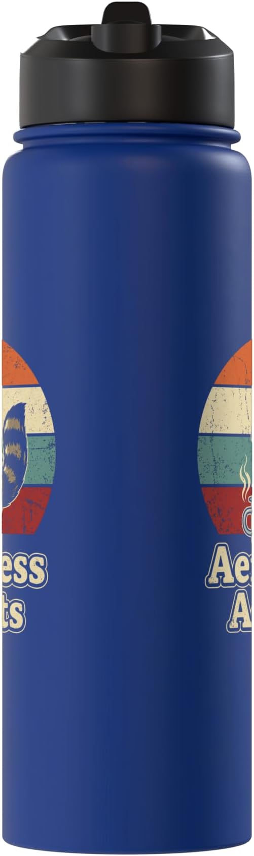 Retro Raccoon Coffee Lover Shirts AeroPress Addicts Stainless Steel Insulated Water Bottle