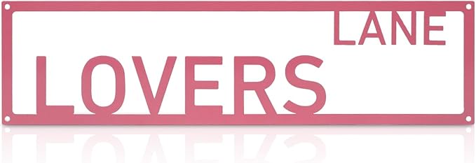 Metal Wall Art Decor Lovers Lane Metal Signs Street Sign with Letter Gift for Women Pink Room 16 x 4 Inches by Unknown