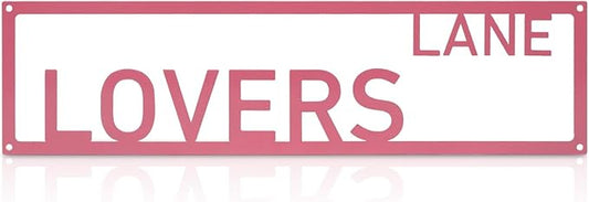 Metal Wall Art Decor Lovers Lane Metal Signs Street Sign with Letter Gift for Women Pink Room 16 x 4 Inches by Unknown