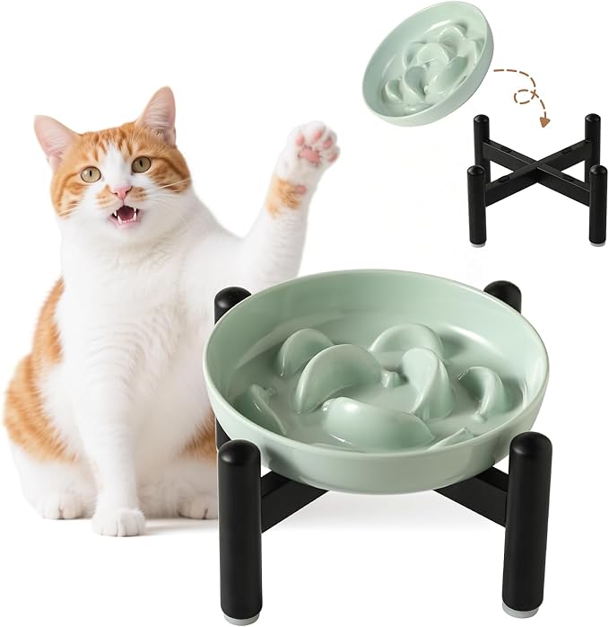 Elevated Slow Feeder Cat Bowl - Melamine Cat Food Plate with Anti-Slip Metal Stand - Raised Maze Dish for Slow Eating - Mint Green