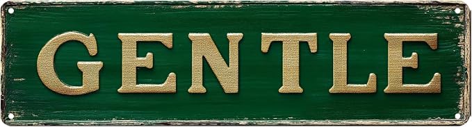 GENTLE Vintage Metal Sign Street Sign Funny Man Cave Decor Accessories for Home, Bar, Bathroom, Bedroom Unique Retro Tin Signs for Outdoor 4 X 16 inches by Unknown