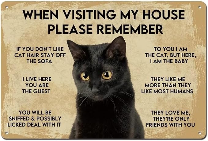 Vintage Metal Cat Sign - Black Cat Apartment Decor, 8"X12" Funny Poster by bivrten