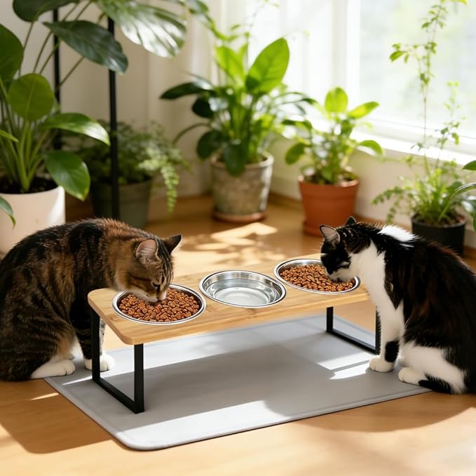 Elevated Cat Bowls with Silicone Mat – 3 Stainless Steel Bowls, 15° Tilted Bamboo Stand Feeding Station for Indoor Cats & Puppy, Anti Vomiting, Whisker Fatigue Relief & Healthy Digestion