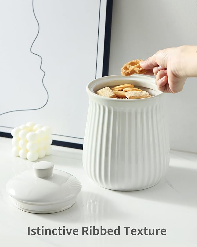 HASENSE Food Storage Containers with Lids, 88 oz Ceramic Food Storage Jar, Airtight Cookie Candy Jar for Coffee Beans, Tea-leave, Sugar, Salt, Flour, Spice, Dog Treat Container, Microwaveable, White