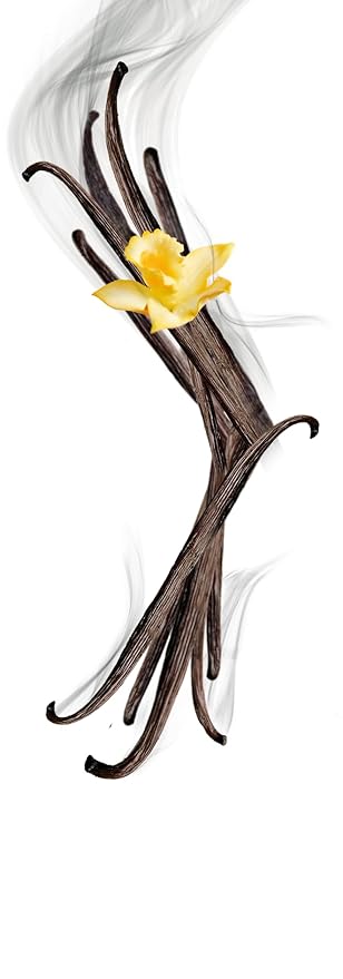 1883 Smoked Vanilla Syrup for Coffee, Cocktails & Desserts – Premium Flavoring Syrup, Made in France, 1 Liter Plastic Bottle