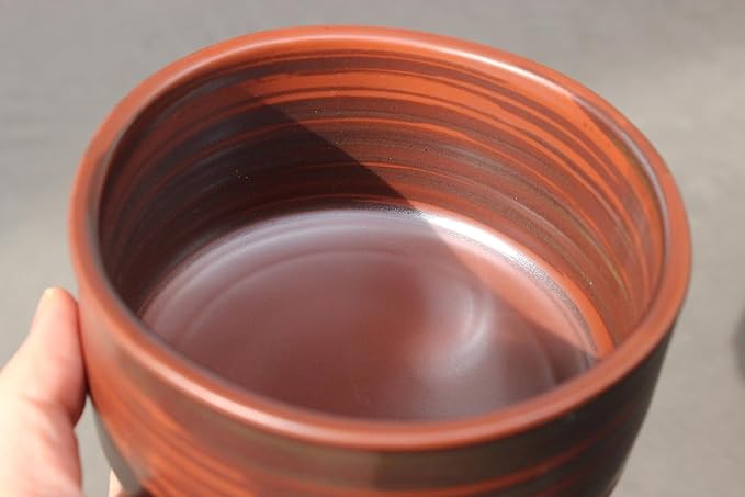 Japanese Traditional Handcrafted Matcha Chawan Tea Bowl Cup Ceremony Tableware Pottery (Tesseki)