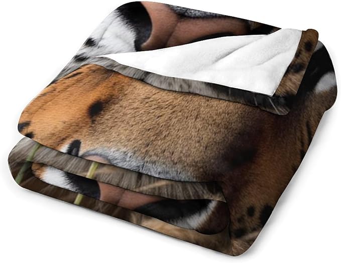Beautiful Tiger Eye Grass Nose Super Soft Throw Blanket, Mystical Insect Brown Flannel Fleece Decorative Throw for Sofa Couch Bedroom Decor Outdoor Use 40"x50"