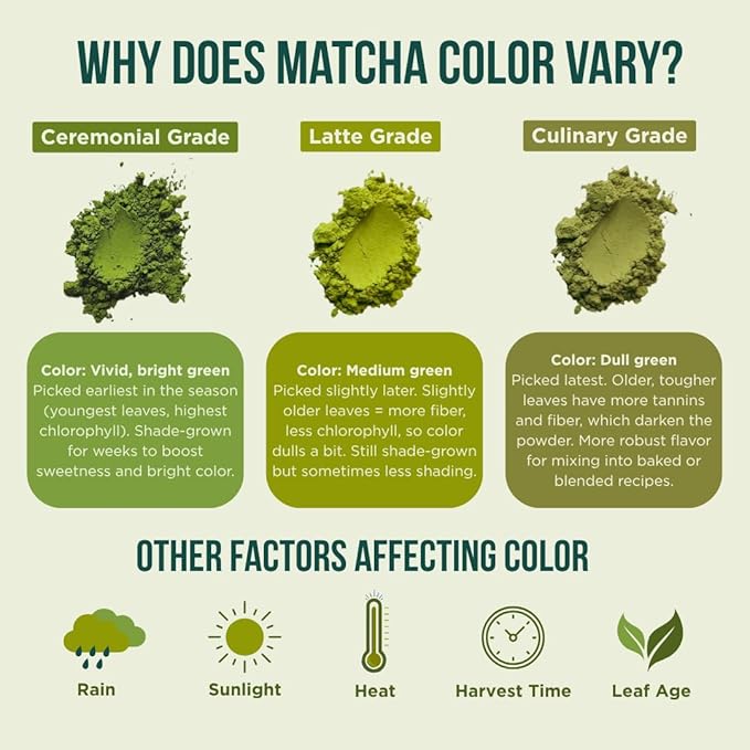 Jade Leaf Matcha Organic Matcha Latte Mix - Bulk Value Size - Lightly Sweet Japanese Matcha Green Tea Powder with Organic Cane Sugar for Café Style Blend, 17.6 Ounce / 500g (Pack of 1)