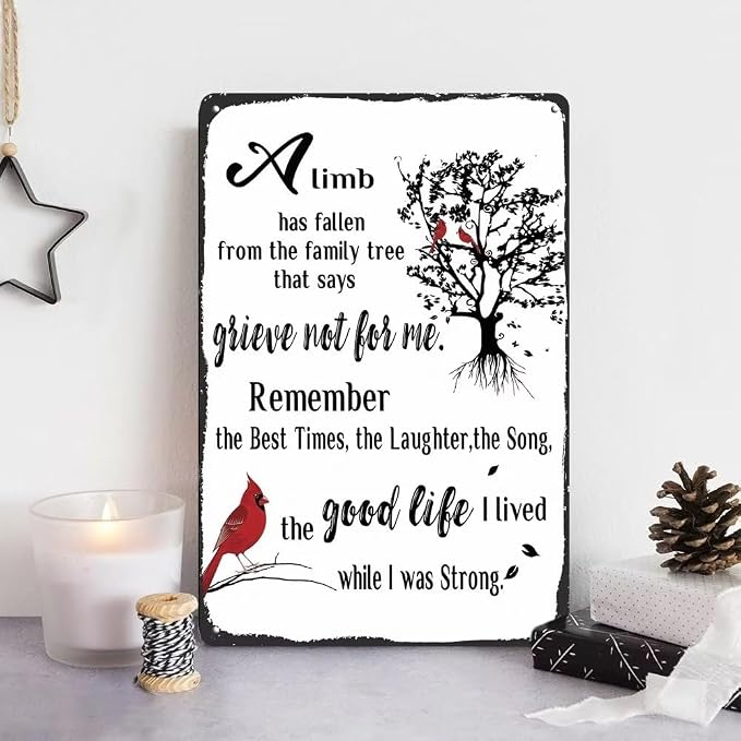 Memorial Gifts for Loss of Mother, Father, Husband, Son, Sympathy Gifts for Loss of Loved One, Rememberance Gift for Loss of Mom Dad, Condolences Gifts, Memorial Decor Sign Plaque 12x8 Inches Metal Tin Sign (Bird Style) by bivrten