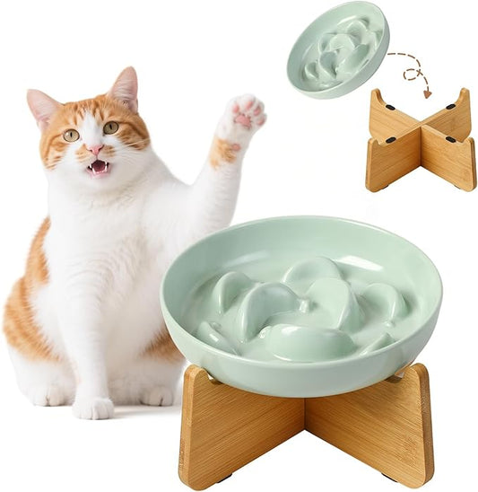 Elevated Slow Feeder Cat Bowl - Melamine Cat Food Plate with Anti-Slip Bamboo Stand - Whisker Friendly Feeding Bowl - Raised Maze Dish for Slow Eating - Mint Green