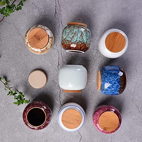 jessie Loose Tea Tin Tea Storage Tea Caddy Tea Canister Tea Storage Container Tins Jar with Airtight Lid (Blue)