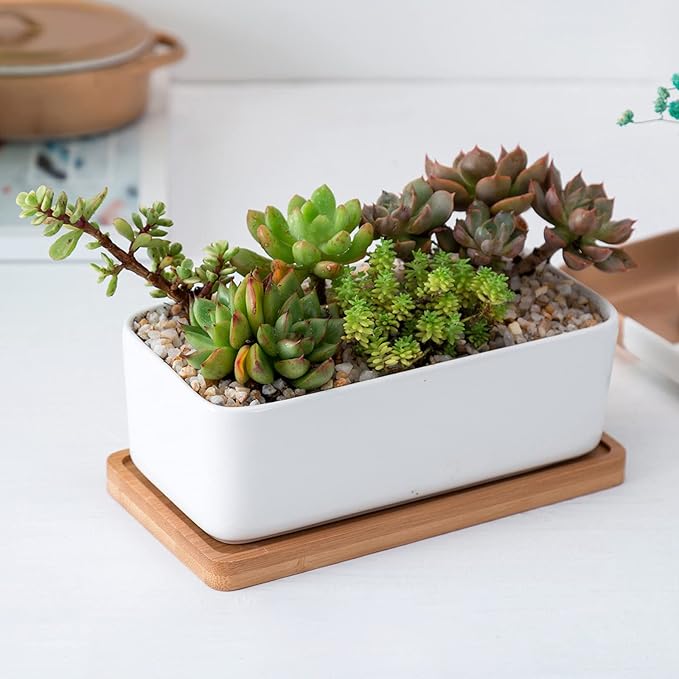 yarlung 10 Pack Small Bamboo Saucers, 7 Inch Plant Saucers Rectangular Flower Pot Drainage Trays for Succulent, Cactus, Small Indoor Plants
