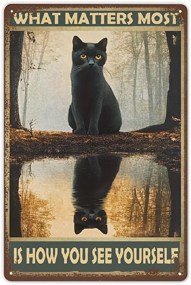 What Matters Most is How You See Yourself Black Cat Retro Metal Tin Vintage Sign for Home Coffee Wall Decor by Unknown