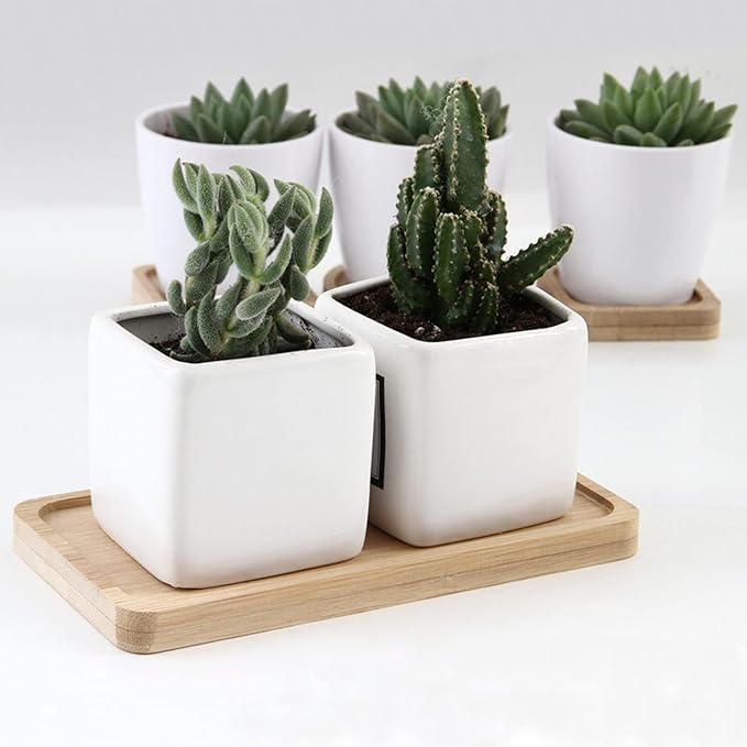 GUKBIAY Bamboo Plant Saucer 6.8 x 3.45 Inch 2 Pack Mini Rectangle Plant Pot Tray Small Bamboo Drainage Saucer for Modern Ceramic Flower Pot