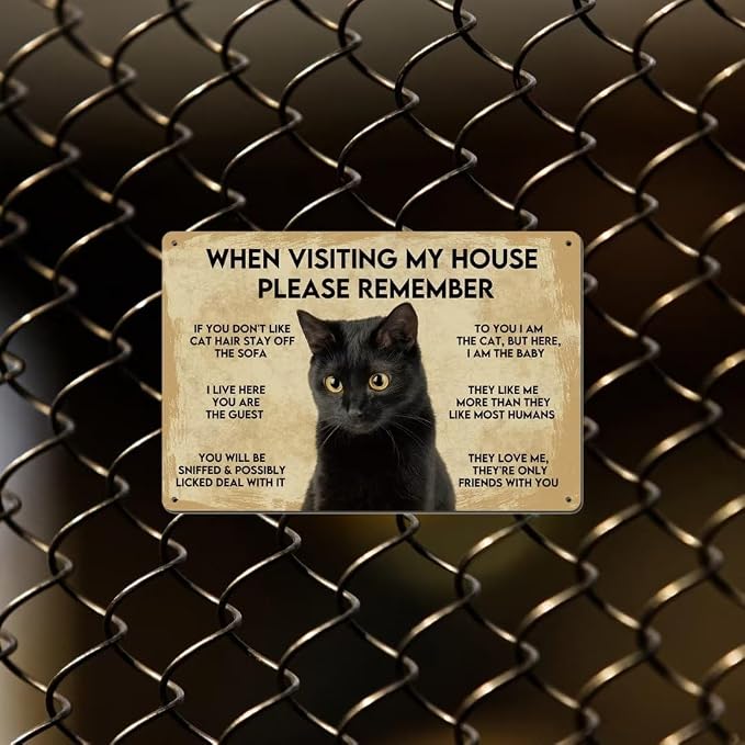 Vintage Metal Cat Sign - Black Cat Apartment Decor, 8"X12" Funny Poster - Image 7