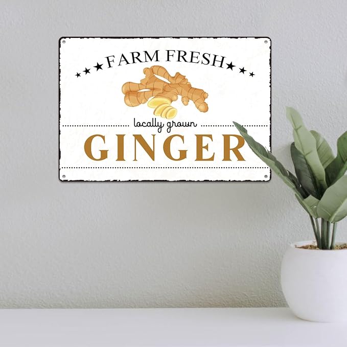 Vintage Ginger Metal Signs Wall Decor Funny Vegetables Art Poster Decorative for Home Farmhouse Kitchen Garden Cafe Bar Farm Porch Fence Yard 12X8 Inch Aluminium Hanging Plaque - Image 5