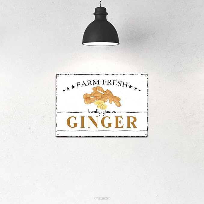 Vintage Ginger Metal Signs Wall Decor Funny Vegetables Art Poster Decorative for Home Farmhouse Kitchen Garden Cafe Bar Farm Porch Fence Yard 12X8 Inch Aluminium Hanging Plaque - Image 4