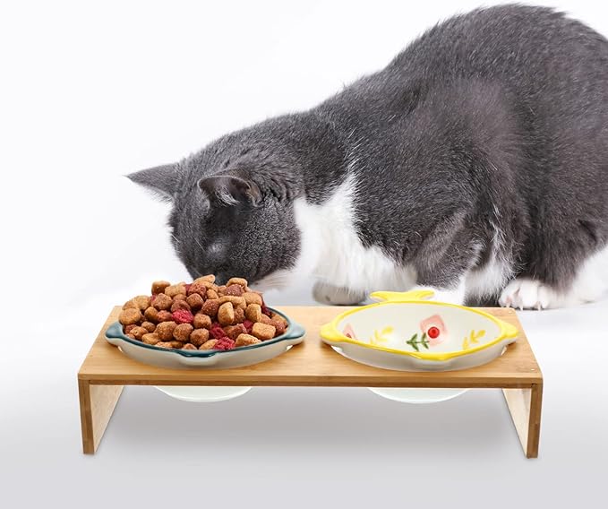 Creative Elevated Pet Bowls with Bamboo Stand Double Ceramic Puppy and Cat Bowls for Comfortable Feeding Joint Relief and Whisker Fatigue Prevention