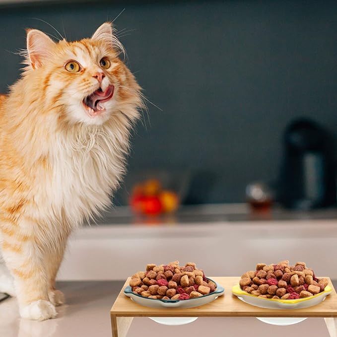 Creative Elevated Pet Bowls with Bamboo Stand Double Ceramic Puppy and Cat Bowls for Comfortable Feeding Joint Relief and Whisker Fatigue Prevention