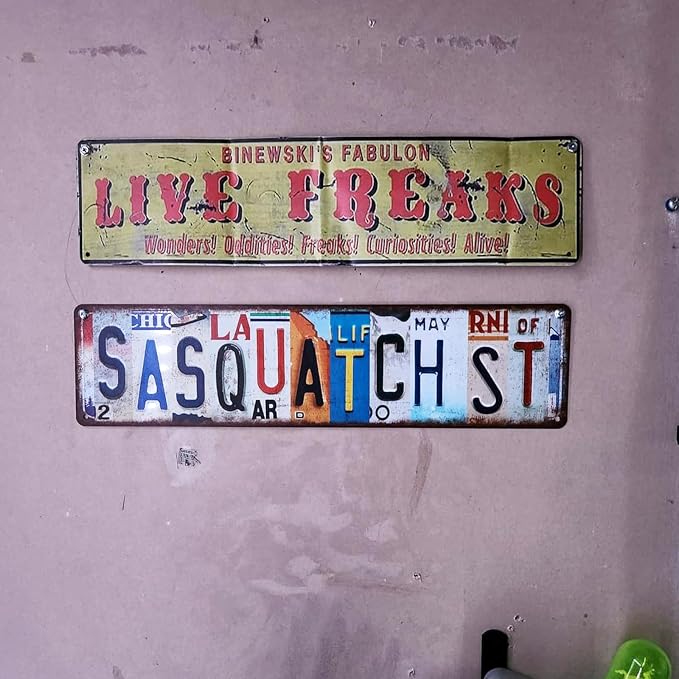 Vintage Wall Decor Diagon Alley Street Sign Metal Tin Signs for Bar Home Man Cave Cafe 16 x 4 Inches - Image 5