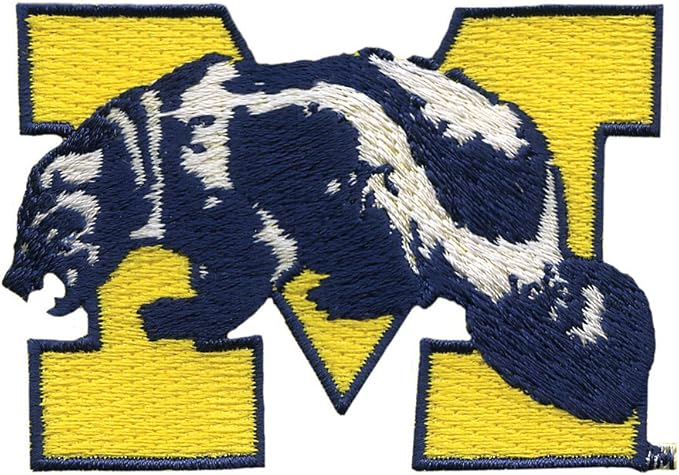 Tervis Michigan Wolverines College Vault Logo Tumbler with Emblem and Navy Lid 16oz Mug, Clear