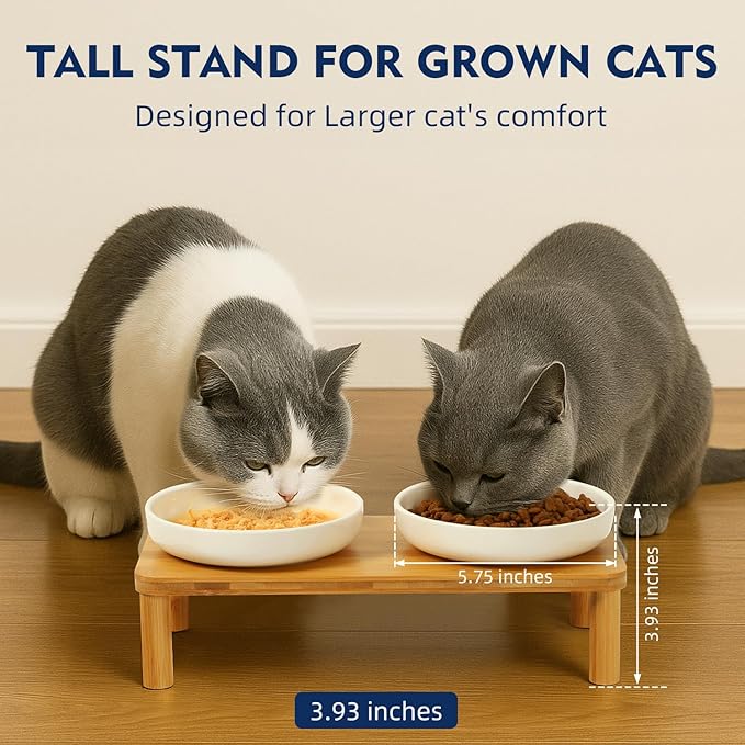Elevated Cat Bowls for Indoor Cats – Raised Bamboo Cat Food Table with 2 Ceramic Dishes, Adjustable Height (4.25"/3.07"), Whisker Friendly Feeding Station