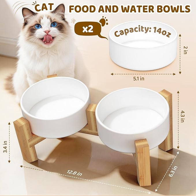 Bamboo Elevated Cat Bowls, 2 Ceramic Raised Cat Food and Water Bowls for Cats and Puppy, 15 Tilted Stand Anti Vomitting, Whisker Fatigue, Dishwasher Safe