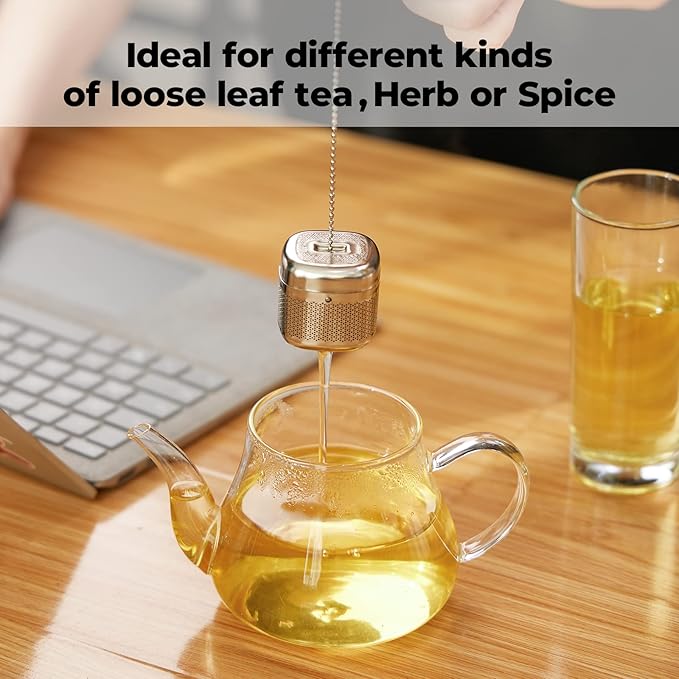 Reinmoson Tea Balls for Loose Tea, 304 Stainless Steel Extra Fine Mesh Tea Infusers for Loose Tea, Retractable Chain Design Tea Strainers for Loose Leaf Tea Single Cup, Come with 1 Saucer