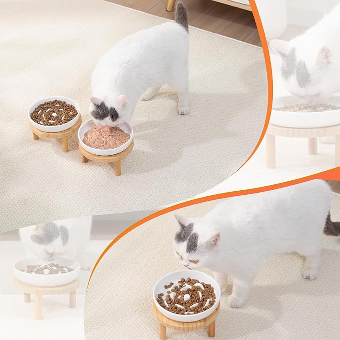 Raised Slow Feeder Cat Bowl, 5.9 Inch Wide Shallow Ceramic Elevated Glass Food Bowl Puzzle Feeders, Anti Vomit Cat Dish, Whisker Friendly Pet Plates Feeding Station for Cats(2 Slow Feeder)