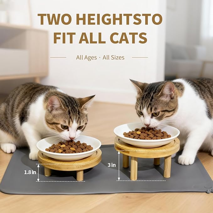 Upgraded Elevated Cat Bowls with Food Mat, Raised Ceramic Cat Dishes with Bamboo Stand, Shallow Wide Pet Feeding Bowls Whisker-Friendly for Food and Water, (Ceramic,Set of 2)