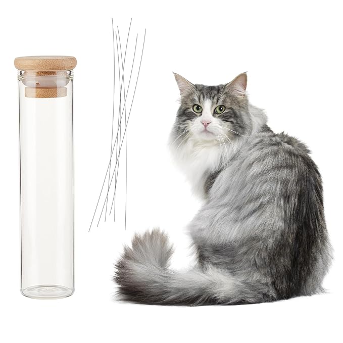 NICENEEDED Cat Whisker Jar, Cat Whisker Collector Transparent Glass Cat Whisker Vase, Cat Whisker Hair Collector Pet Keepsake Box Loss of Cat Sympathy