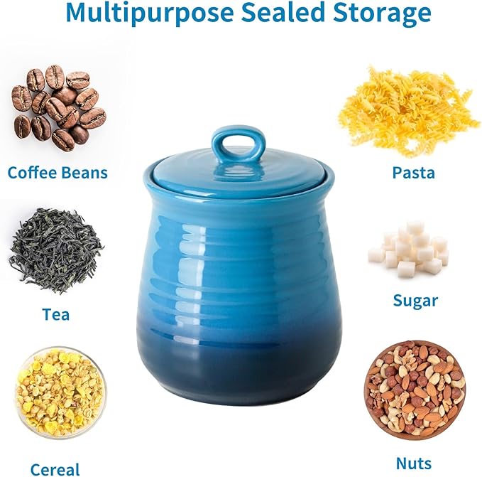 Hasense Kitchen Storage Containers, 35 oz Canister with Airtight Lids, Cookie Jar with Airtight Lid for Countertop, Stylish Kitchen Container for Flour, Tea, Sugar, Salt, Gradient Blue