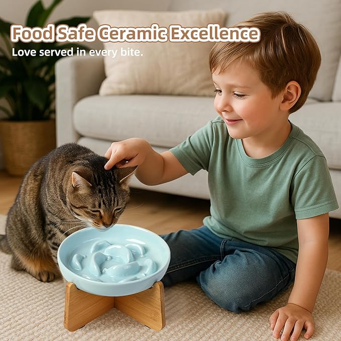 Elevated Slow Feeder Cat Bowl - Ceramic Cat Food Dish with Anti-Slip Bamboo Stand - Whisker Friendly Feeding Bowl - Raised Maze Plate for Slow Down Eating - Light Pink