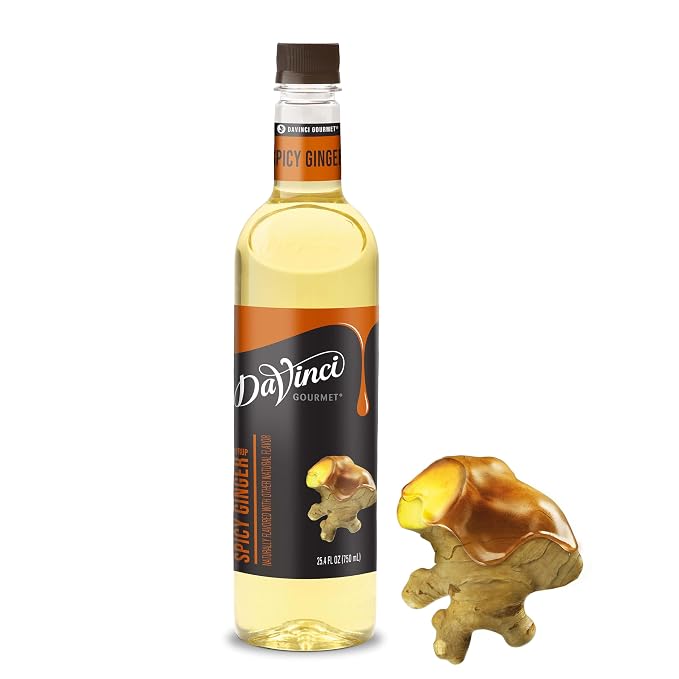 DaVinci Gourmet Spicy Ginger Syrup, 25.4 Fluid Ounces (Pack of 1) by DaVinciGourmet