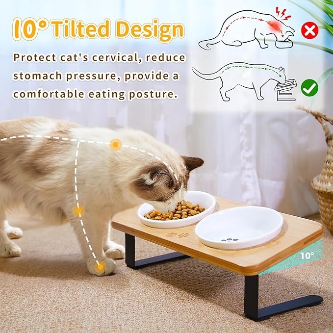 Ceramic Elevated Cat Bowls with 10° Tilted, Anti Vomiting & Whisker Friendly Food and Water Bowls with Bamboo Stand(Anti-Slip Feet), Raised Cat Food Bowls for Indoor Cats & Puppies, Dishwasher Safe