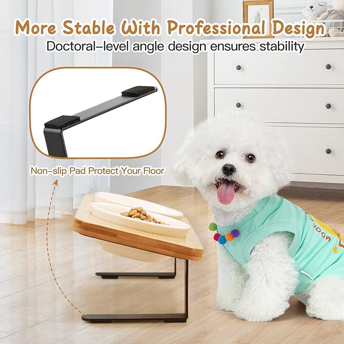 Ceramic Elevated Cat Bowls with 10° Tilted, Anti Vomiting & Whisker Friendly Food and Water Bowls with Bamboo Stand(Anti-Slip Feet), Raised Cat Food Bowls for Indoor Cats & Puppies, Dishwasher Safe