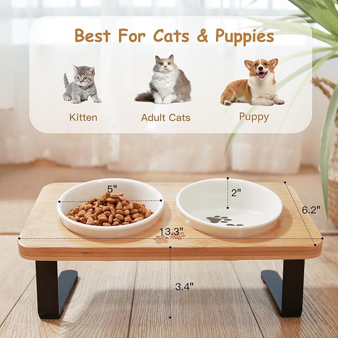 Ceramic Elevated Cat Bowls with 10° Tilted, Anti Vomiting & Whisker Friendly Food and Water Bowls with Bamboo Stand(Anti-Slip Feet), Raised Cat Food Bowls for Indoor Cats & Puppies, Dishwasher Safe