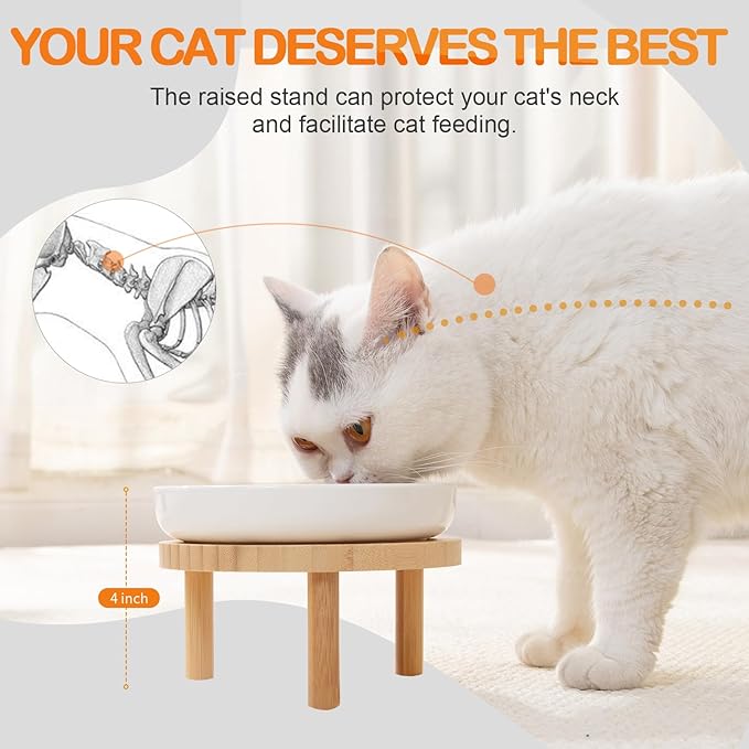 Raised Slow Feeder Cat Bowl, 5.9 Inch Wide Shallow Ceramic Elevated Glass Food Bowl Puzzle Feeders, Anti Vomit Cat Dish, Whisker Friendly Pet Plates Feeding Station for Indoor Cats, Kitten(2 Set)