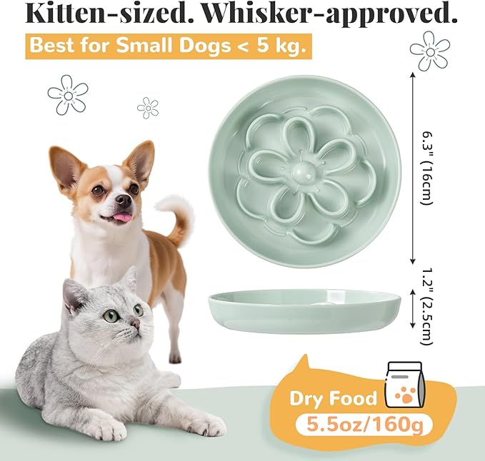 Melamine Cat Slow Feeder Bowl Set - Floral Maze Food Dishes for Cats and Small Dogs - Shallow Wide Plates for Dry & Wet Food - 3 Pack - Green & Blue & Pink