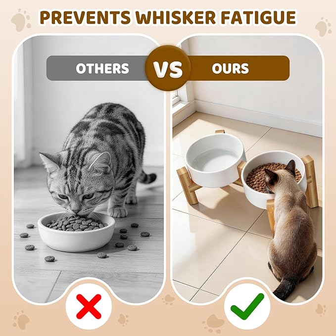 Bamboo Elevated Cat Bowls, 2 Ceramic Raised Cat Food and Water Bowls for Cats and Puppy, 15 Tilted Stand Anti Vomitting, Whisker Fatigue, Dishwasher Safe